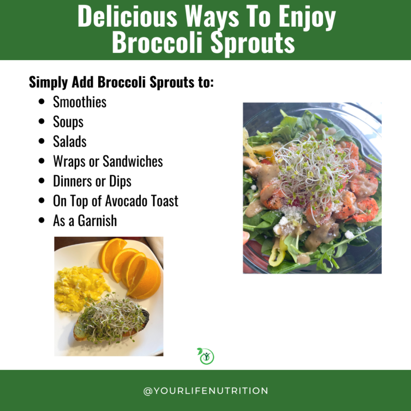 all-about-broccoli-sprouts-your-life-nutrition