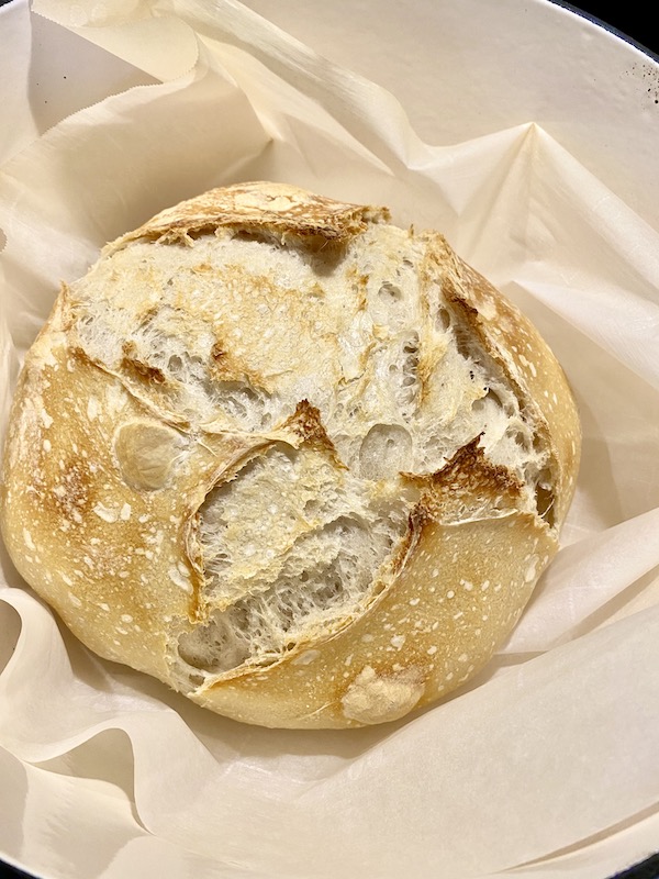 Everything To Know About Sourdough 4215