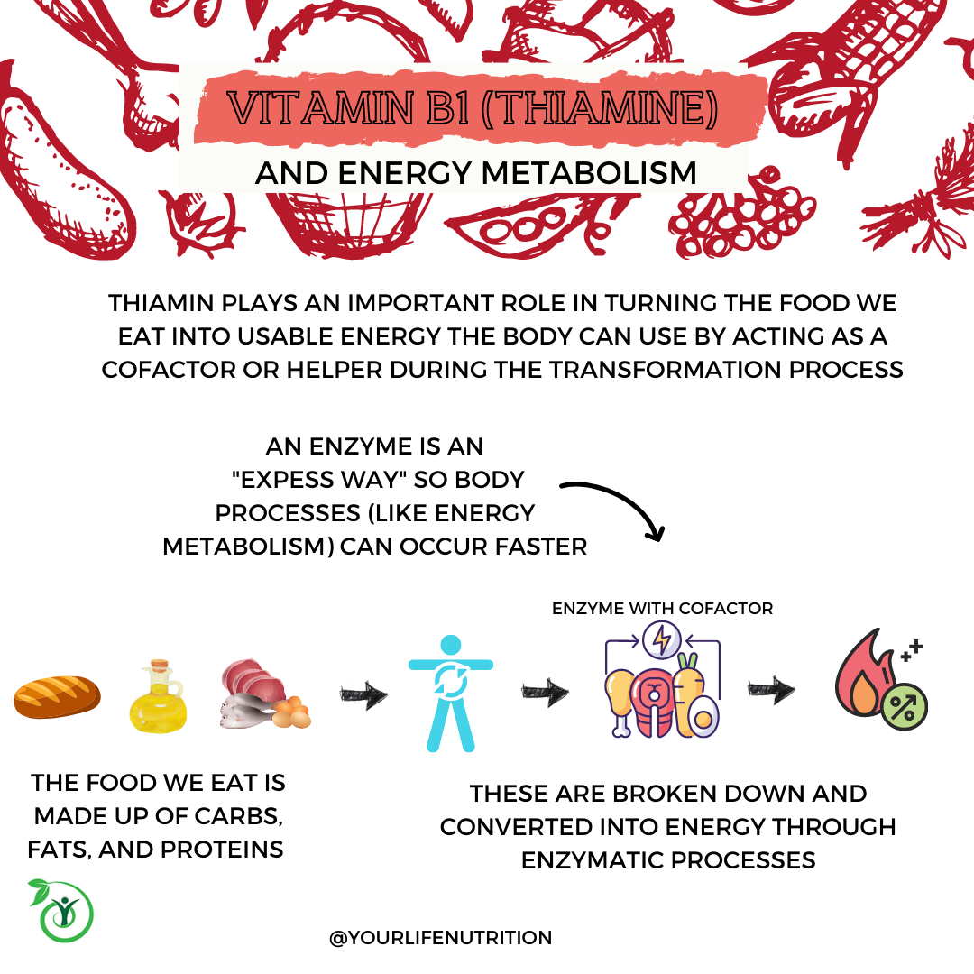 Vitamin Me: Vitamin B1 (Thiamine) - Your Life Nutrition